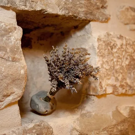 Luxury Kokola Penzion 4*